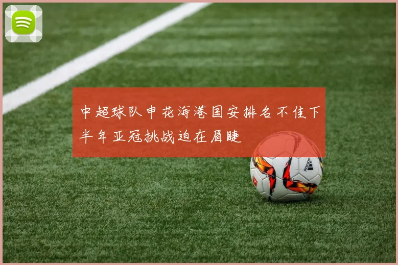 中超球队申花海港国安排名不佳下半年亚冠挑战迫在眉睫